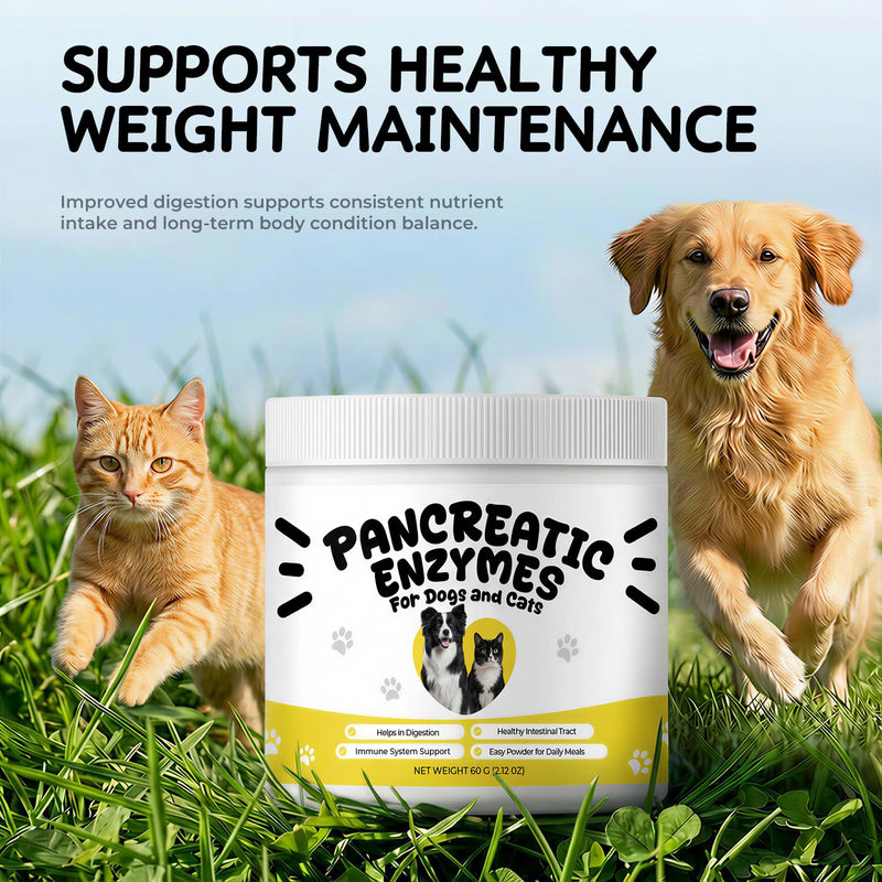Pancreatic Enzymes Powder for Dogs & Cats, Pancreatin Digestive Enzyme Supplement for EPI Support, Helps Maintain Digestion, Stool Consistency & Healthy Weight – 2 oz
