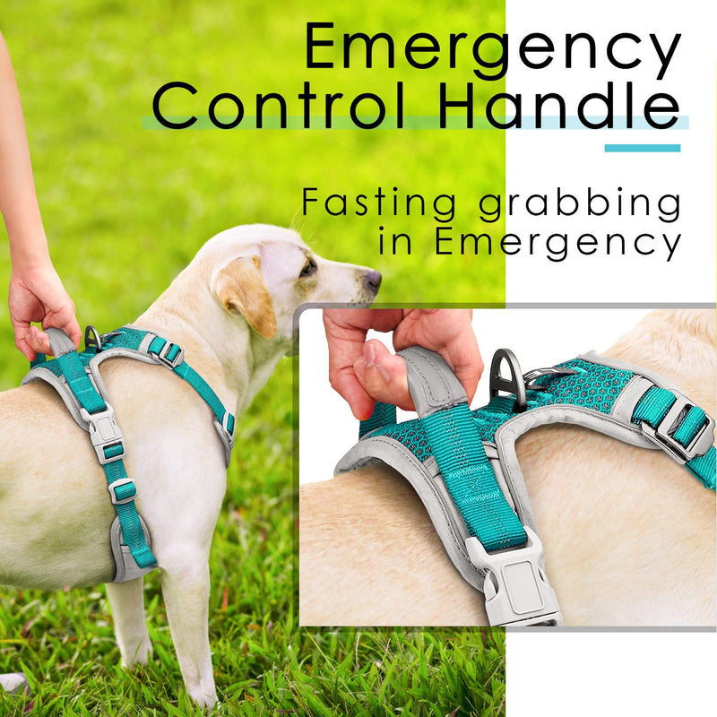 ThinkPet Anti-Pull Dog Harness, Dog Harness with Handle, Easy to Control Dog Harness, Adjustable without Choking, Dog Harness, Reflective, Breathable, Padded (XL, Bright Teal) XL (Pack of 1) - BeesActive Australia