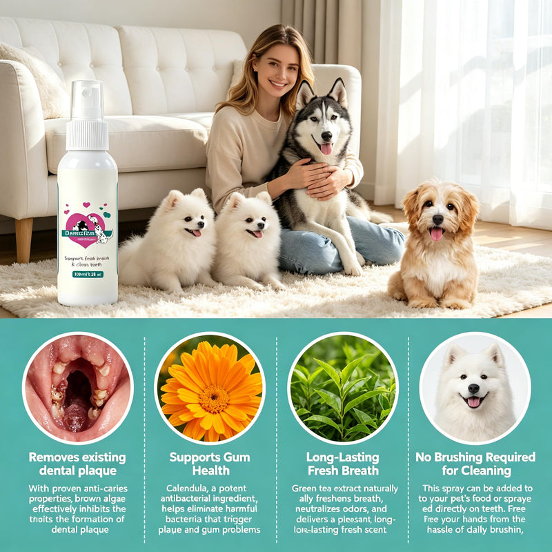 DentaClean Spray for Dogs & Cats, No-Brush Plaque & Tartar Remover, Breath Freshener for Dog Dental Care, Supports Daily Oral Hygiene, Easy Spray for Dogs Cats, 100ml
