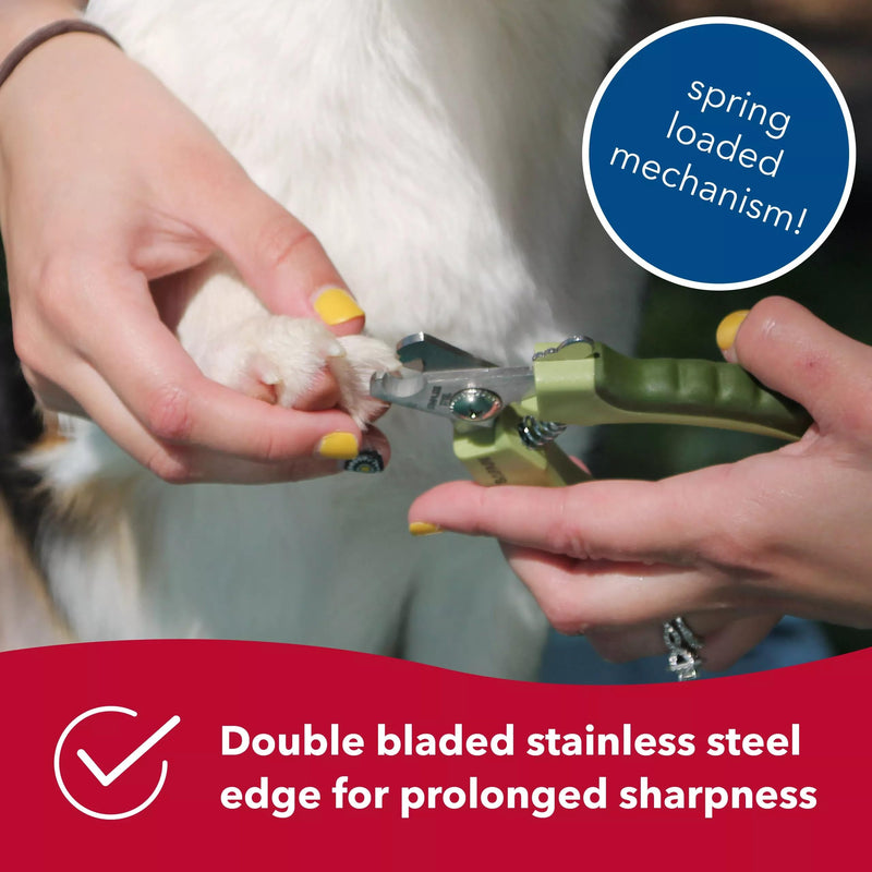 Coastal Pet Safari Professional Dog Nail Trimmer & Coastal Pet Safari Pet Styptic Powder - Dog Nail Clippers for Grooming & Blood Clotting Powder for Pet and Dog First Aid Kit and Grooming - Bundle - PawsPlanet Australia