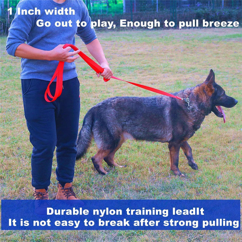 Strong Durable Nylon Dog Training Leash, 1 Inch Wide Traction Rope, 6 ft 10ft 15ft Long, for Small and Medium Dog (Black, 10 Feet) Black - BeesActive Australia