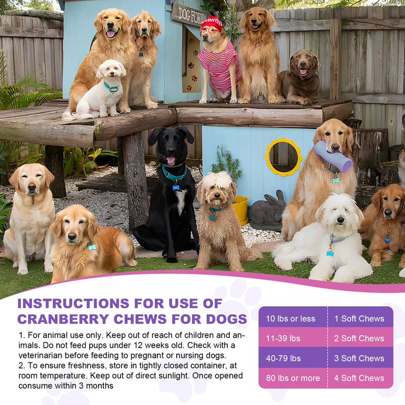 Dog Uti Treatment Cranberry Supplement for Dogs 200 Chews Urinary Tract Medicine Bladder Control Pills Kidney Support Cranberrys Extract Bites Uti Infection Treats Incontinence Remedy for Dogs Chicken