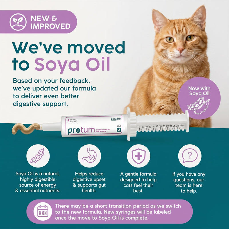 Probiotics for Cats Paste 15ml, Cat Diarrhea Treatment - New Formula for Easy Dispensing, Advanced Prebiotic, Diarrhea Relief, Restore Digestion, Loose Stools & Gut Balance - Catnip Flavoured