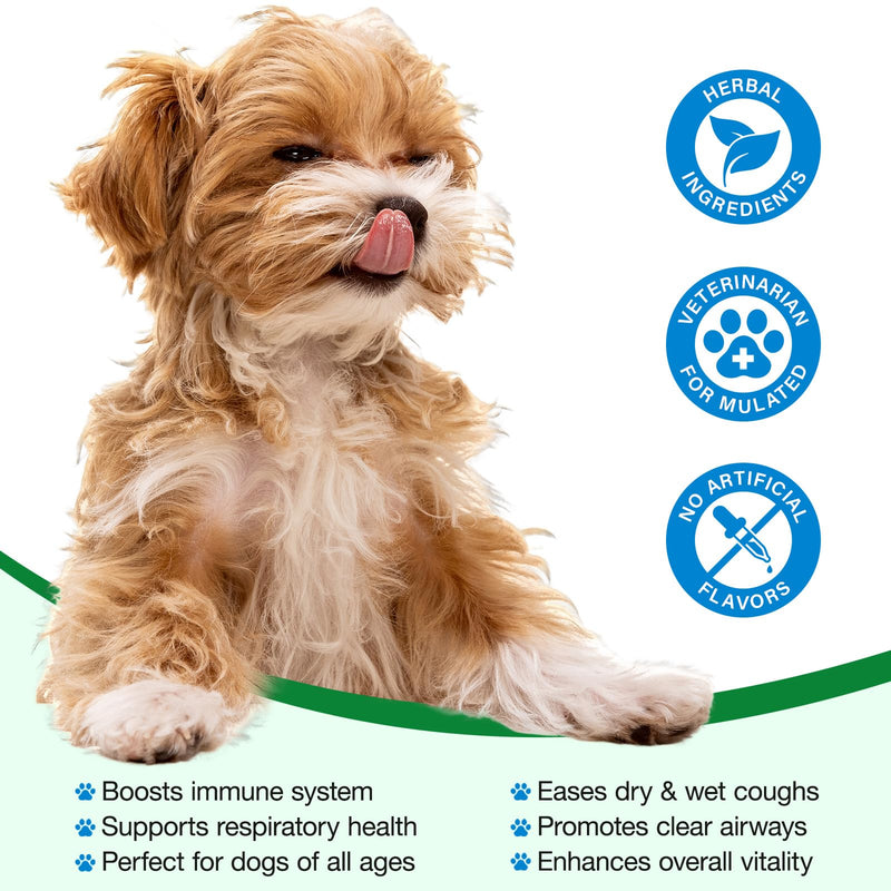 Dog Antibiotics, Natural Antibiotics for Dogs, Dog Multivitamin Herbal Supplements, Support Allergy and Itch Relief, Bacon Flavor - 60ml / 2.02 fl oz