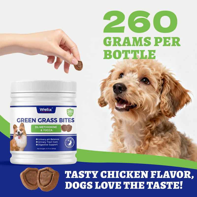 260 Bites Green Grass Bites for Dogs - Grass Savers for Dog Urine, Green Lawn Chews with Crabberry & Probiotic & Digestive Enzymes for Urinary Tract & Bladder - Chicken Flavor