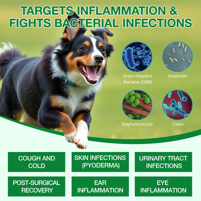 Dog Antibiotics, Natural Antibiotics for Dogs, Dog Multivitamin Herbal Supplements, Support Allergy and Itch Relief, Bacon Flavor - 60ml / 2.02 fl oz