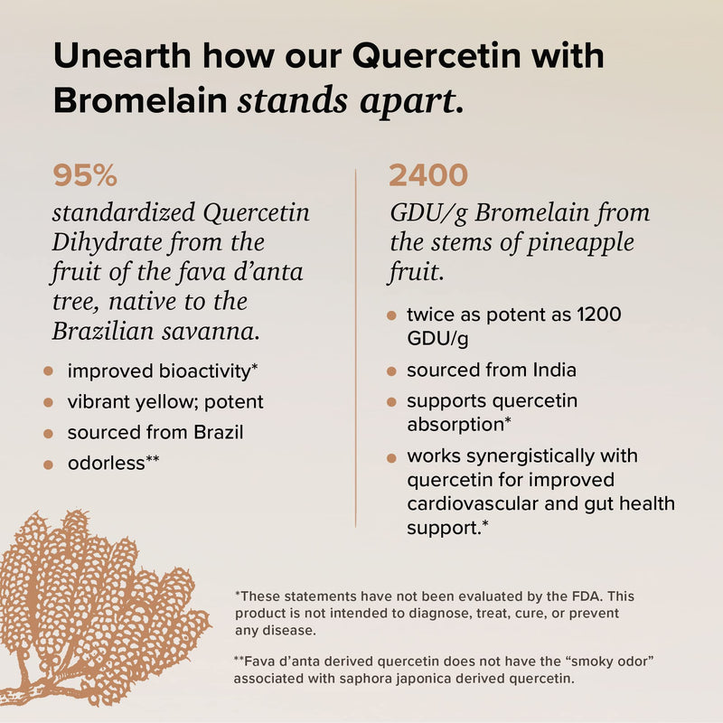 Quercetin with Bromelain - Bioactive Fava d'anta Derived Quercetin with 2400 GDU/g Bromelain 120 Capsules - BeesActive Australia
