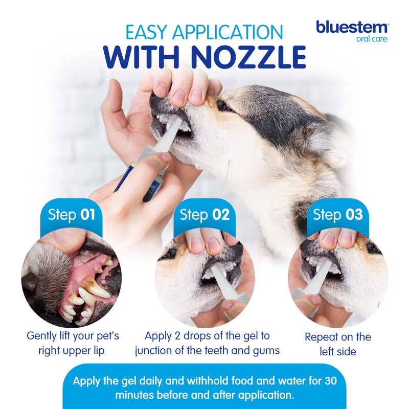 bluestemTM No Brush Dog Dental Gel - Dog Oral Gel to Freshen Breath, and Fights Plaque and Tartar - Brushless Toothpaste for Dogs Original 2.4 Ounce (Pack of 1) - PawsPlanet Australia