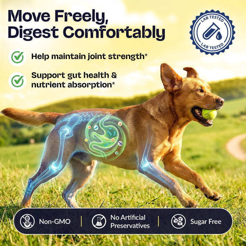 Multivitamin Soft Chews for Dogs | Beef Flavour | Daily Hip & Joint, Skin & Coat, Gut Health Support with Glucosamine, Probiotics, Vitamins & Omega-3 | All-in-One Supplement.