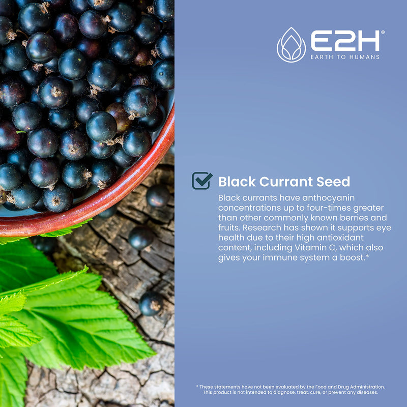 E2H Natural Black Currant Extract, Cold Pressed Black Currant Seed - Immune System Health - Fast Absorbing Liquid (2 Bottles) 2 Fl Oz (Pack of 2) - BeesActive Australia