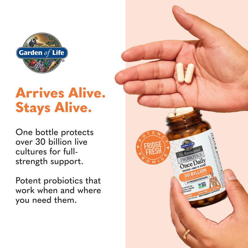 Garden of Life Dr. Formulated Probiotics Once Daily - Acidophilus Probiotic with Daily Support for Digestive and Immune Health - Gluten Free, Dairy Free, Soy Free Probiotics, 30 Vegetarian Capsules