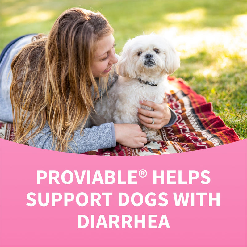 Nutramax Proviable Probiotics for Dogs, Diarrhea Support Kit, Digestive Health Supplement with Multiple Strains of Bacteria, Plus Prebiotics, Kaolin and Pectin, 30 ml Paste and 10 Capsules Dogs - 30 ml (Pack of 10)