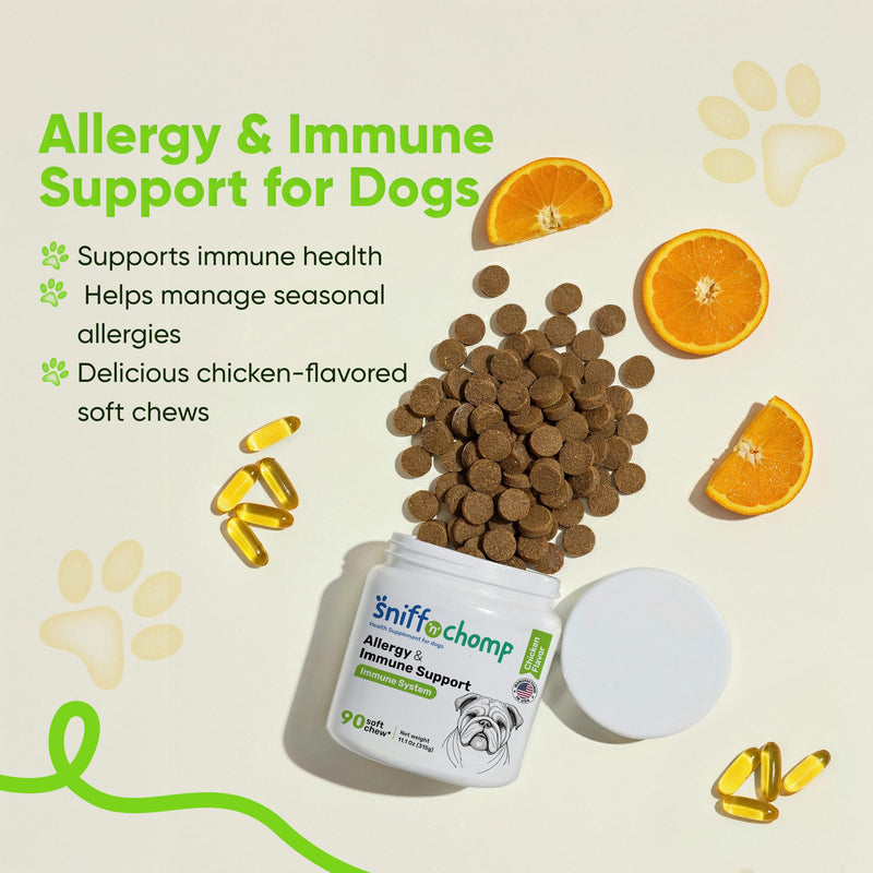 SNIFF N CHOMP Dog Allergy Chews, Chicken Flavor, Probiotics for Dogs with Quercetin Omega 3 Zinc, Seasonal Allergy Relief, Immune Support Soft Chews, Probióticos para Perros | 90 Soft Chews