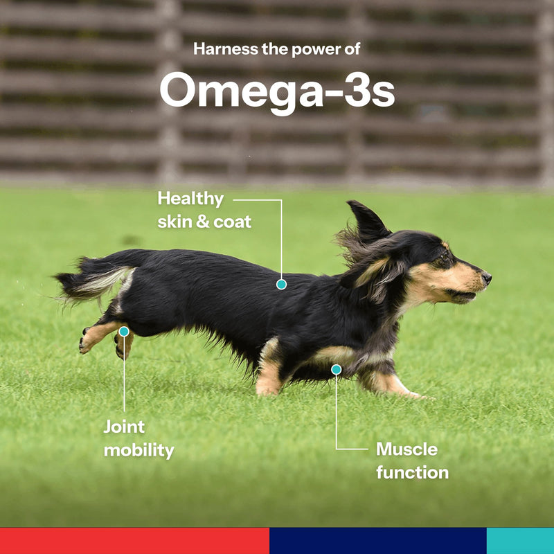 Omega-3 Soft Gels for Cats & Small Dogs – Essential Fatty Acids with Vitamins A, E & D3 – Skin, Coat & Joint Supplement – 60 Count Small/Medium - 60 Count