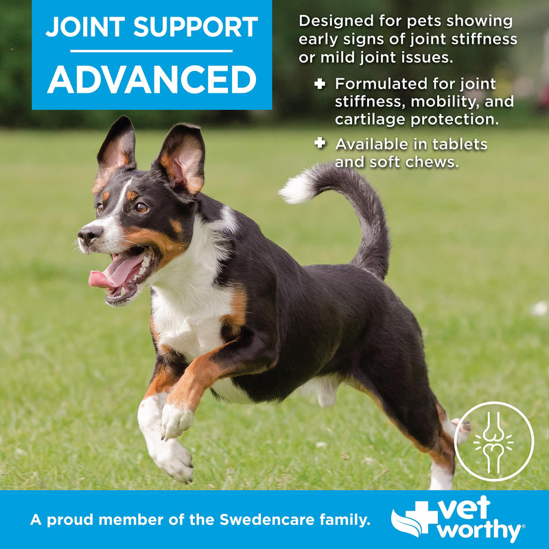 Vet Worthy Advanced Glucosamine Chondroitin for Dogs - Hip and Joint Chews for Dogs with MSM - Supports Joint Function to Maintain Mobility and Flexibility - Bacon & Chicken Flavor (60 Soft Chews)