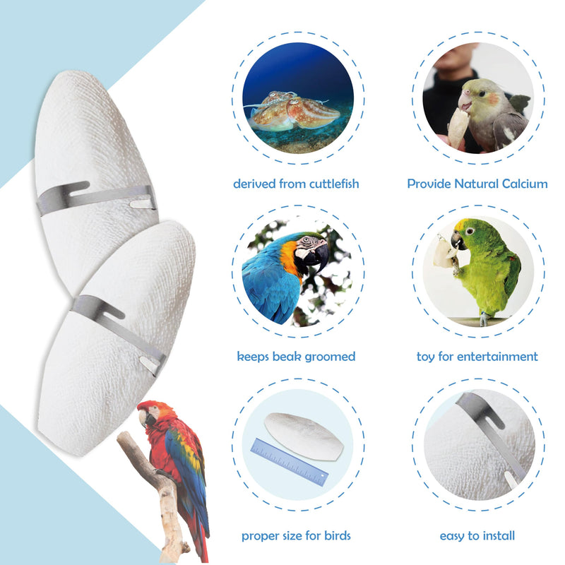 Jmxu's 3.5"-4" Cuttlebone for Birds Parakeets, Cuddle Bone with Metal Holder, Cuttlefish Bone for Sharp Beaks, Natural Birds Calcium for Parrots Cockatiels Tortoises, 4 Pcs 4 Pcs (3.5"-4") - BeesActive Australia