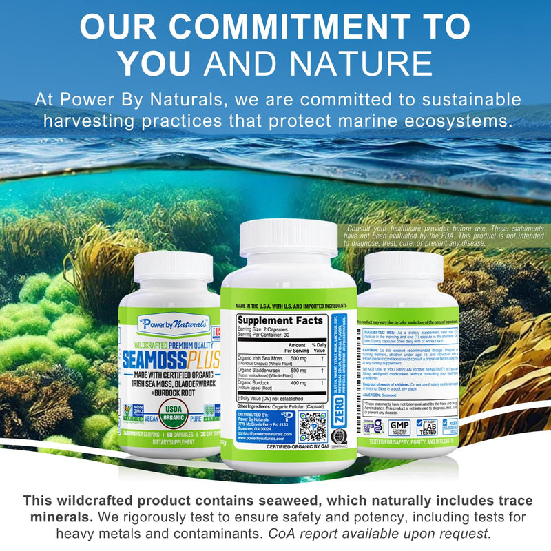 Power By Naturals Sea Moss Plus – USDA Organic Irish Sea Moss Capsules with Bladderwrack & Burdock Root – Immune Support – Vegan, Non-GMO, Gluten-Free – 120 Capsules, 2-Pack (2-Month Supply) | With Bladderwrack & Burdock Root - Immune Support - Vegan, ...