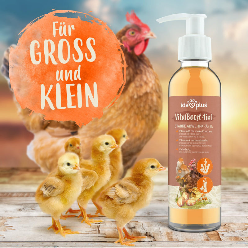 Ida Plus – VitalBoost 4in1 200 ml – vitamin concentrate with vitamin ADEC for strong defenses & stable growth – feed supplement for the vitamin supply of chickens, ducks and poultry - BeesActive Australia