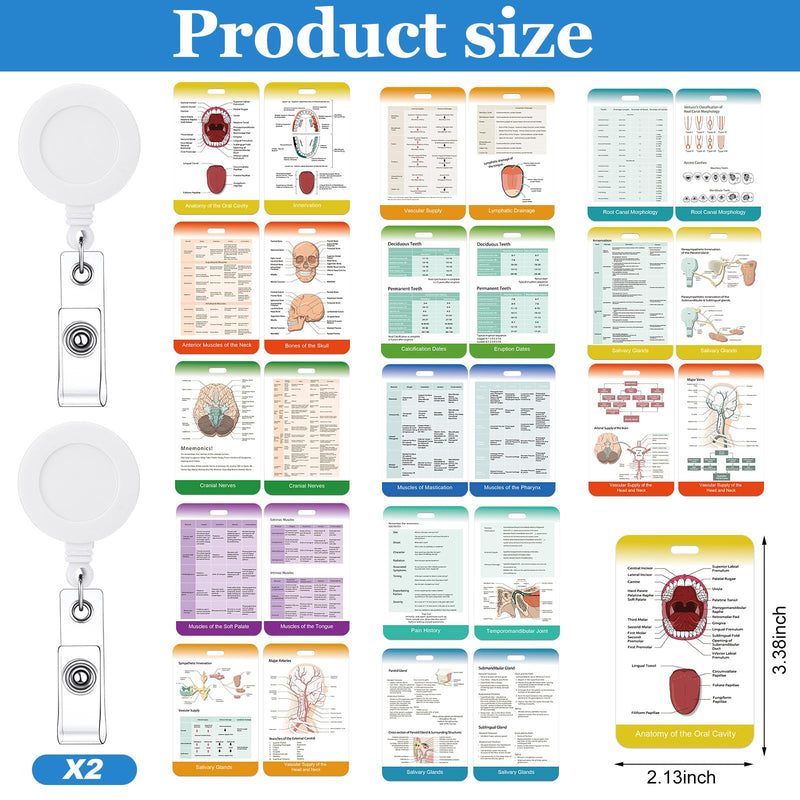 13 Pieces Dental Hygiene Reference Study Cards