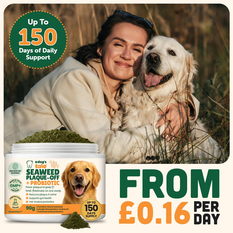 Plaque Off Powder for Dogs | Dogs Dental Powder for Teeth Cleaning, & Tartar Removal – Seaweed Plaque Remover with Probiotics for Gut Health & Fresh Breath – Up to 150 Days Supply