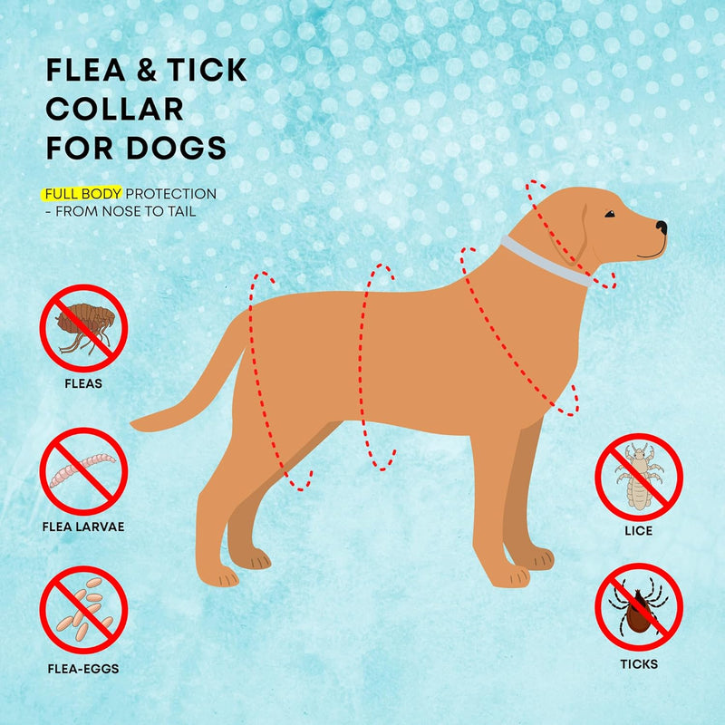 Dog Flea Tick Prevention Collar: Effective Flea Collar and Prevention for Dogs - Safe Dog Ticks Fleas Collars - Reliable Tick Flea Collars for Dogs - 24 Month Protection 4-Pack… 4 Pack - BeesActive Australia