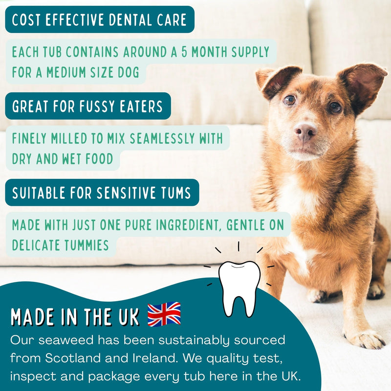 Target Plaque Shield | Seaweed Dental Powder for Dogs |150g | Helps Reduce Plaque & Tartar Build-Up, Fresh Breath Support | Dog Toothpaste & Toothbrush Alternative | Dental Stick Included