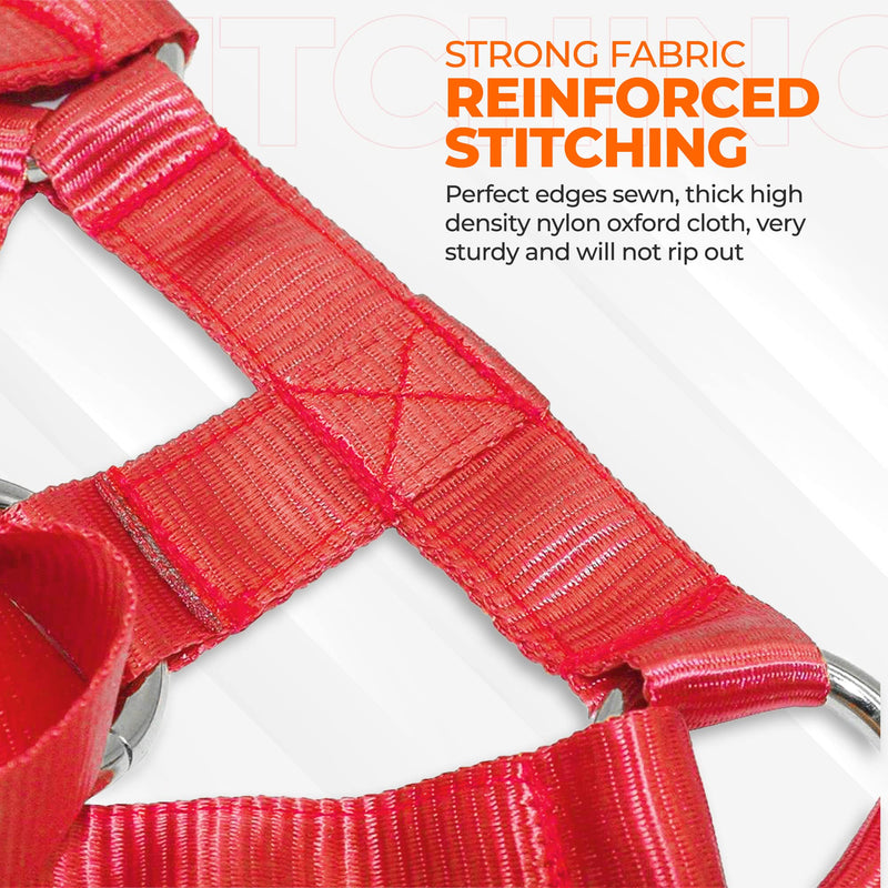 Dog Head Halter with Safety Strap - Headcollar - No-Pull Dog Collar – Perfect for Leash & Harness Training Medium and Large Dog Sizes (Size M (Pack of 1), Red) - BeesActive Australia