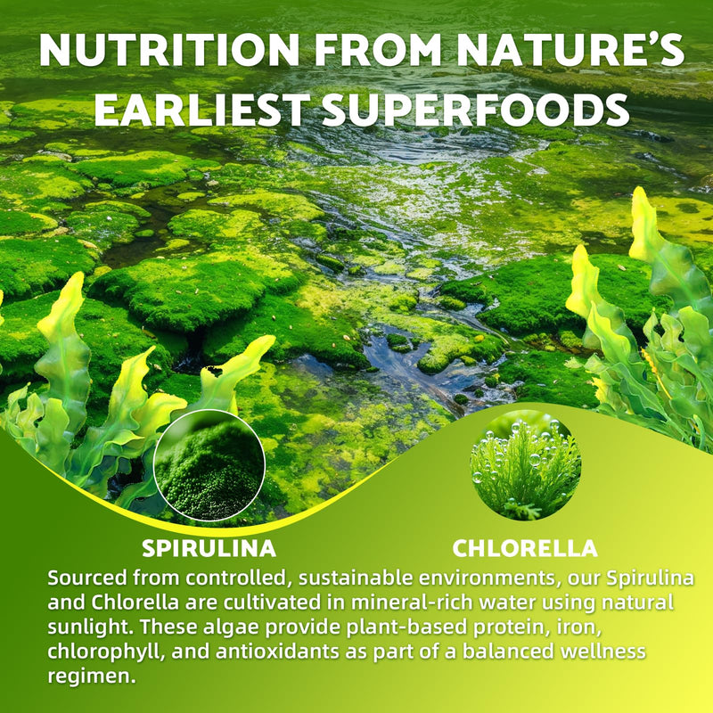 2 Pack Spirulina Chlorella Gummies, Supports Daily Energy & Immune System | Super Greens Blend with Protein, Chlorophyll, Vitamin C, D3, B12, Zinc, Pineapple Flavor, 120 Count 60 Count (Pack of 2)