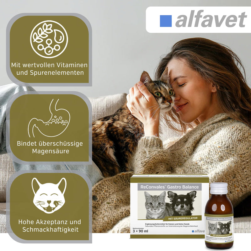 alfavet, ReConvales Gastro Balance for cats and dogs, for the care of the gastric mucosa with acidity regulator, supplementary feed, 3 x 90 ml - BeesActive Australia