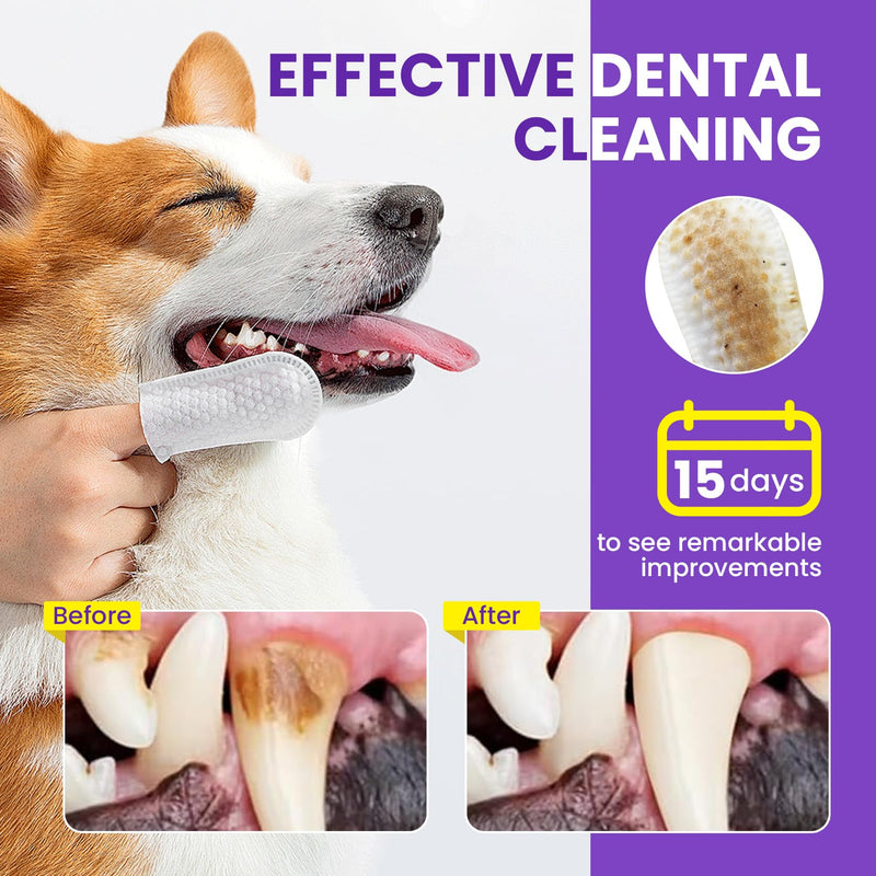 Pet Teeth Cleaning Wipes for Dogs & Cats, Pet Dental Finger Wipes for Dogs, No-Rinse Dog Toothbrush Toothpaste to Reduce Plaque & Tartar, Disposable Dog Tooth Brushing Kit - Uncented - 50 Count 1-Uncented - BeesActive Australia