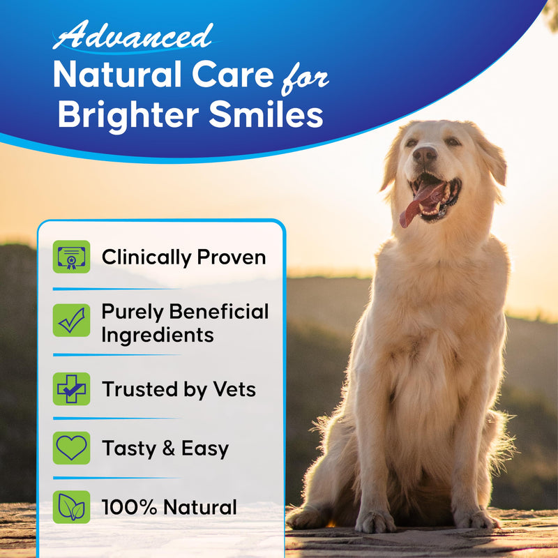 Plaque Control Powder for Dogs & Cats/Pet Teeth Cleaning Supplements/Natural Breath Freshener Food Topper/Daily oral Hygiene Support / 120g / No Toothbrush or Toothpaste Needed