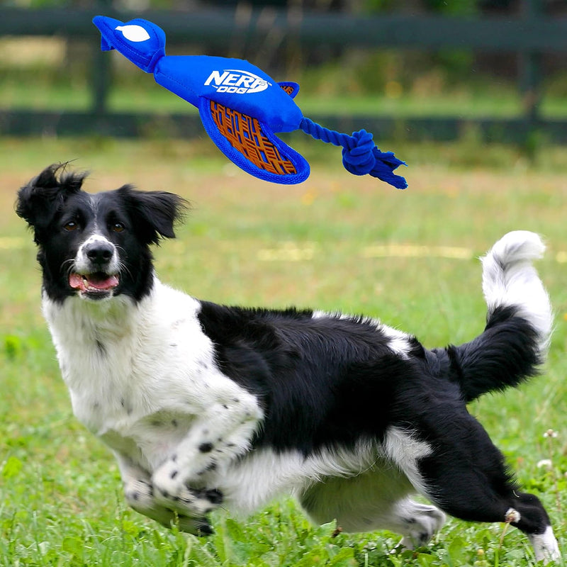 Nerf Dog Large Nylon Launching Duck, Blue/Orange - BeesActive Australia