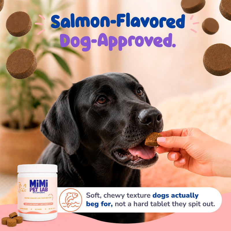 Skin and Coat Supplement for Dogs - Wild Alaskan Salmon Oil Soft Chews with Omega 3 EPA DHA, Zinc & Biotin - Dog Skin Support for Itchy Skin, Shedding & Shiny Coat - 90 Salmon Chews