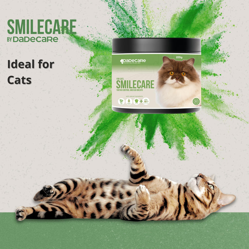Smilecare Cat Dental Powder No Brushing Required, Daily Oral Hygiene, Reduces Tartar and Plaque, Promotes Fresh Breath, Suitable for Cats of All Ages, 220g