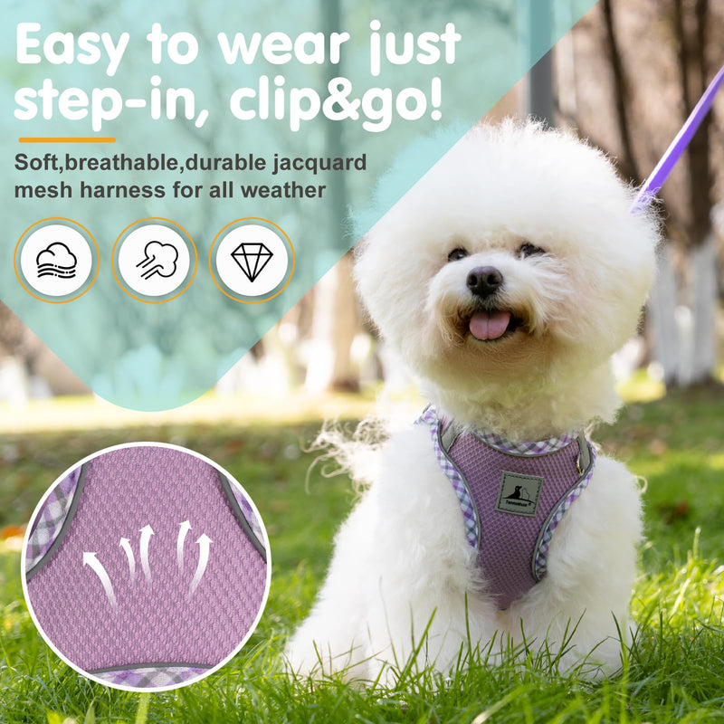 Dog Harness and Leash Set, No Pull Pet Harness for Small Dogs Easy Walking,Soft Breathable Small Dog Harness,Adjustable Reflective Step in Vest Harness for Puppy,Kitten, Cats XX-Small purple - BeesActive Australia