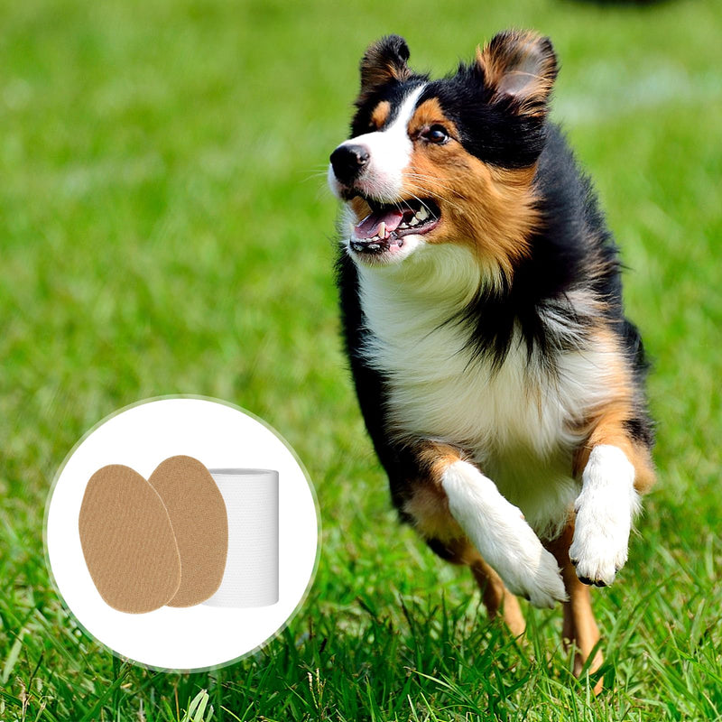 POPETPOP 1 Pair Dog Ear Erector, Dog Ear Stand Sticker Up Support Tool, Dog Ear Fixed Correction Vertical Holder for Doberman Corgi Chihuahua Puppy - PawsPlanet Australia