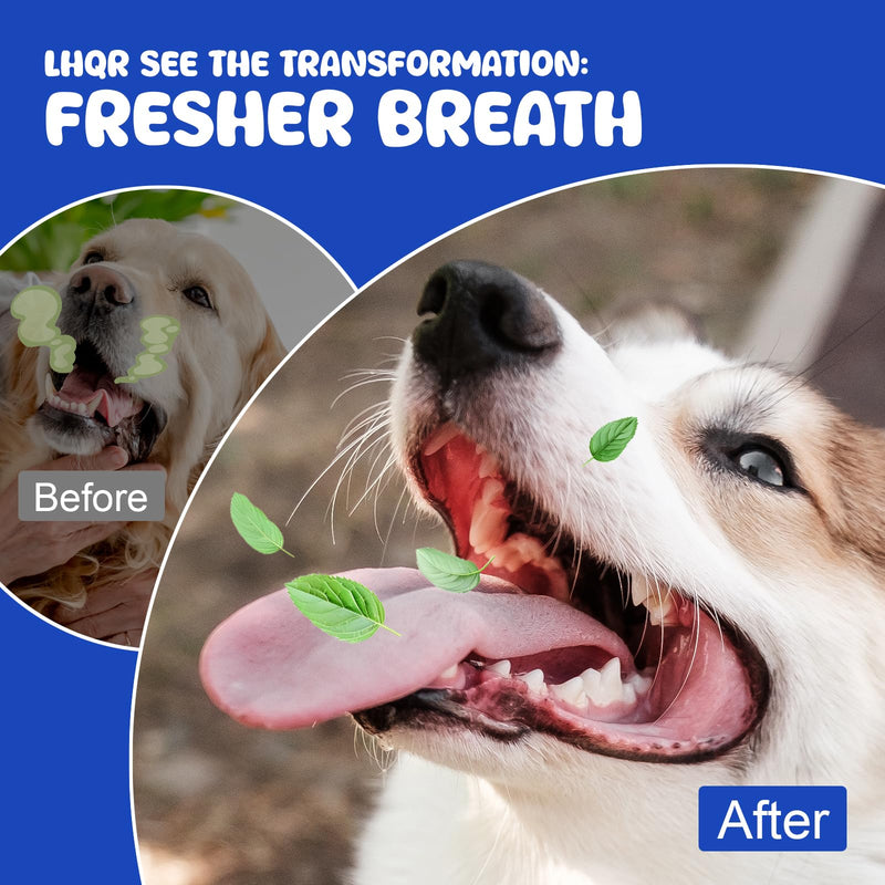 Dog Dental Powder for Fresher Breath - Dog Teeth Cleaning Powder Natural Plaque & Tartar Support with Probiotics & Enzymes lab co, Oral Care Supplement for Pet 160g/(5.6 oz)