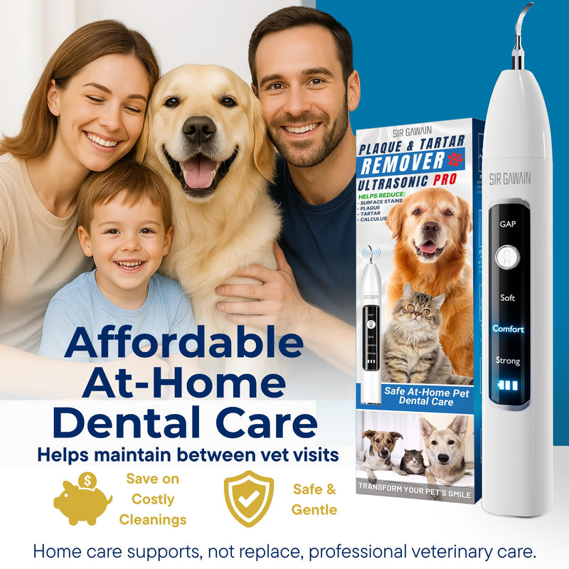 SIRGAWAIN Pet Ultrasonic Dental Cleaner — Plaque, Tartar & Stains Remover, 4 Tips, 3 Modes, LED, Contact-Activated & Smart Touch Protection, Complete Cleaning Kit for Dogs & Cats (White) - BeesActive Australia