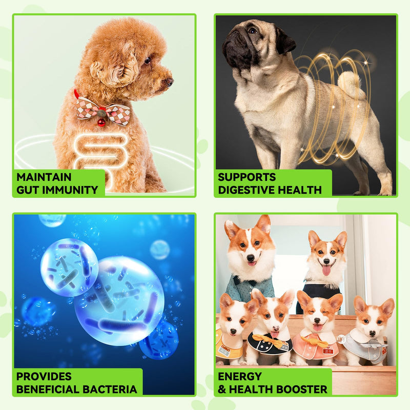 Probiotic For Dogs, 3-In-1 Probiotics Dogs Drops, with Prebiotic & Enzymes, Supports Gut Health, Immunity & Digestive Comfort, 60ml