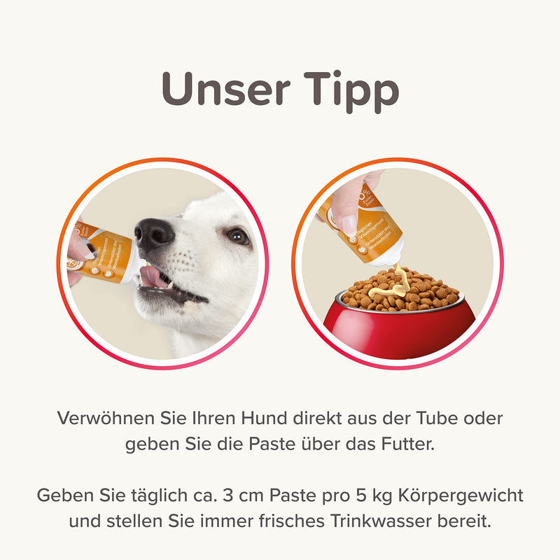 beaphar - Multi VIT Paste Dog - for dogs - with biotin, L-carnitine - for durable skin and beautiful fur - 0% added sugar - daily vitamin enjoyment - supports well-being - 250 g multi-vitamin 250 gr - BeesActive Australia