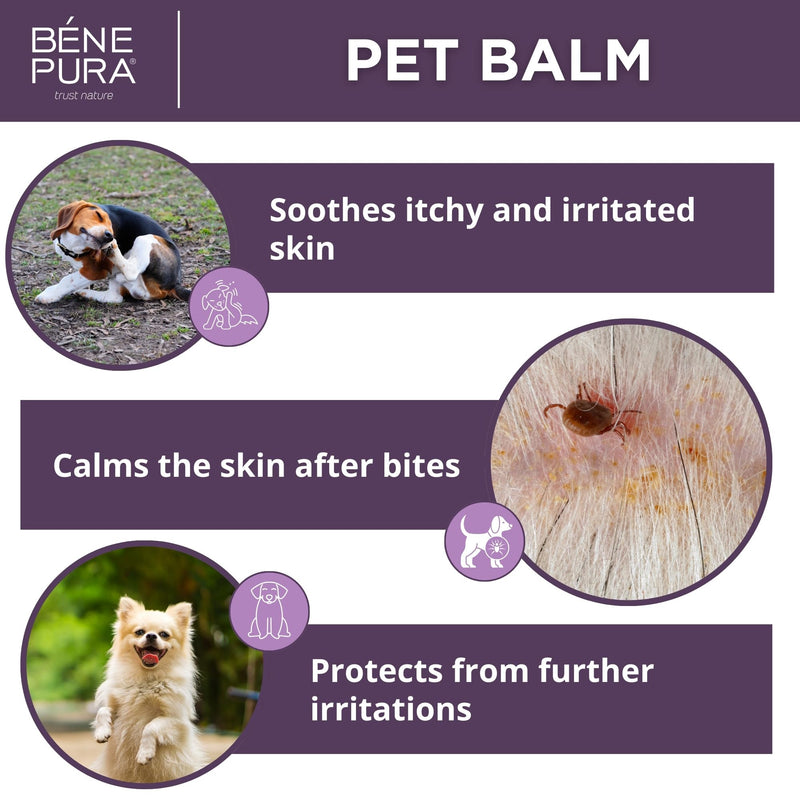 BenePura Dog Paw Balm for Itchy and Irritated Skin Relief - Soothes the Paws, Nose and Skin after Insect Bites - Unscented and Lick Safe - Suitable for Cats - 100% Natural Pet Balm - 1.35 fl. Oz