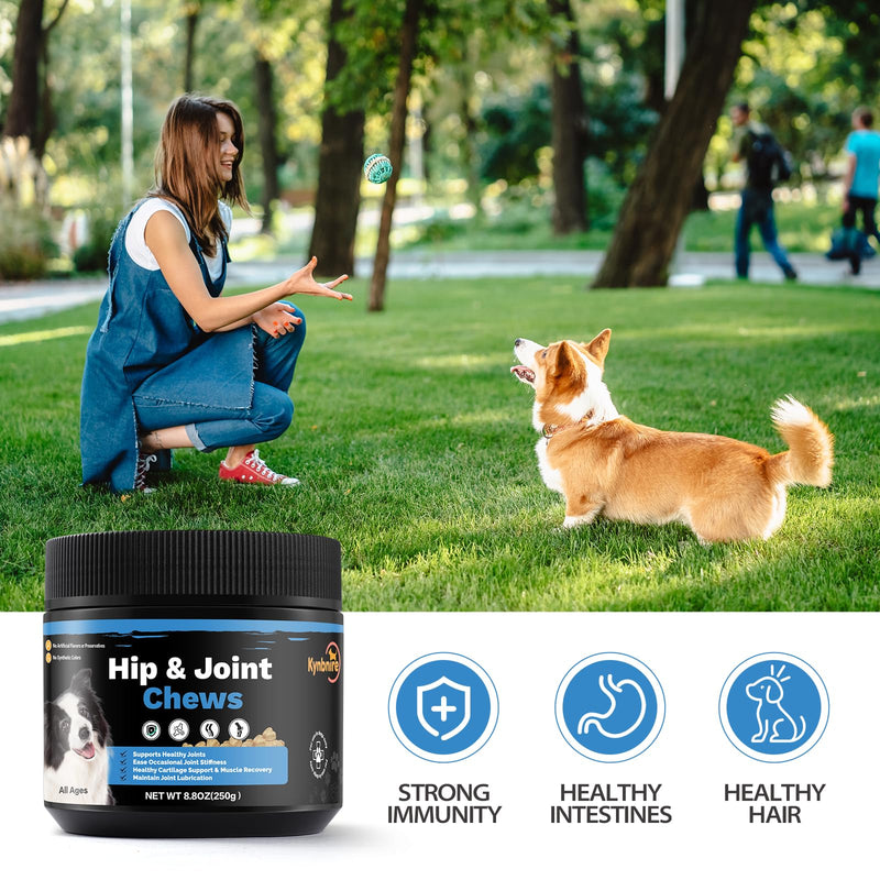 Dog Hip and Joint Soft Chews, Dogs Joint Health Supplement with Glucosamine, Turmeric and MSM, Joint Support for Dogs Natural Chicken Flavor -100ct