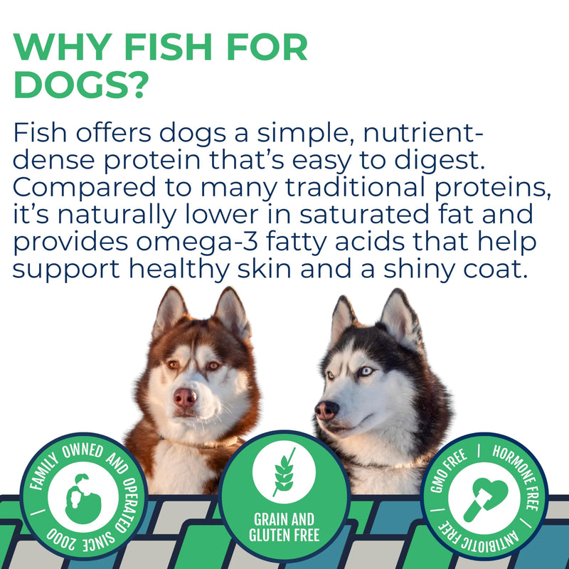 Momentum Carnivore Nutrition Tiny Cod Twists Dog Chews – Single Ingredient Icelandic Cod Skin Treats – Natural Dental Support, High-Protein Fish Chews – 3.1 oz Bag 3.1 Ounce (Pack of 1)