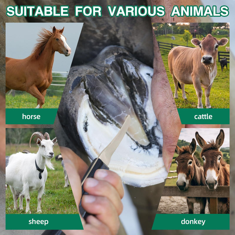 Right-Handed Hoof Knife - Ultra-Sharp J2 Steel Blade Ergonomic Non-Slip Wooden Handle for Trimming Horse, Cow, and Goat & Livestock Hoof Care