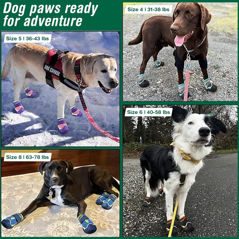 Dog Shoes for Small Dogs, Anti-Slip Dog Boots for Winter Snow, Hot Pavement, Dog Booties & Paw Protectors for Hardwood Floors Size 2 Black #2(width 1.57 inch)for 10-23 lbs - BeesActive Australia