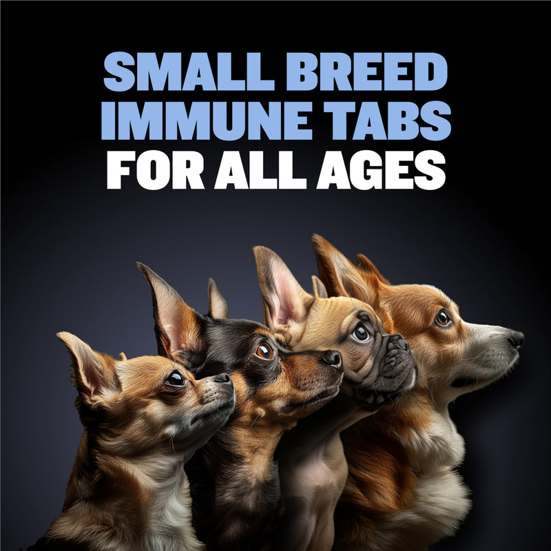 Bully Max Small Breed Dog Immune Support Tablets - Chewable Dog Multivitamin Immunity Booster Supplement Tabs for Puppy & Adult Dogs - Pet Vitamins with Astaxanthin, Colostrum, Turmeric - 30 Tablets - PawsPlanet Australia