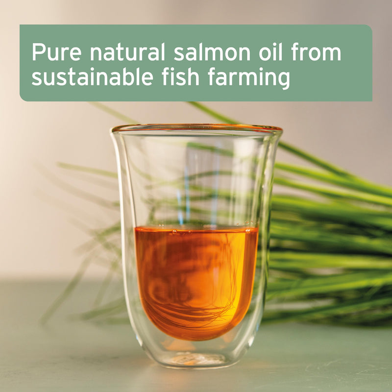 AniForte Premium Salmon Oil for Dogs, Cats, Horses & Pets 500ml - 100% Pure Natural Norwegian Fish Oil Supplement With Omega 3, 6 & EPA, DHA & ALA Fatty Acids, For Coat & Skin, Joints & Brain Health