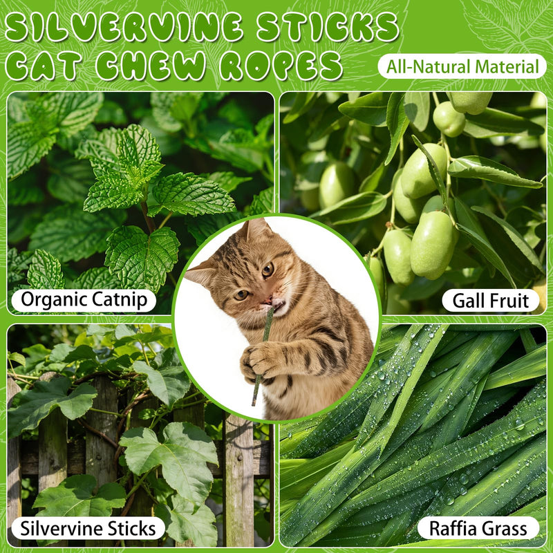 Silvervine Sticks for Cats & Cat Chew Ropes Cat Chew Toys for Indoor Cats Kitten Teething Toys for Dental Cleaning Teeth with Natural Catnip Bag, Increase Appetite, Enhances Oral & Dental Health,14PCS