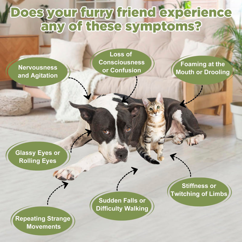 Seizure and Epilepsy Supplement, Nervous System Supplements for Dogs and Cats, Natural Herbal Help Relieve Anxiety, Involuntary Muscle Activity,Twitching and Drooling, Repetitive Strange Movements