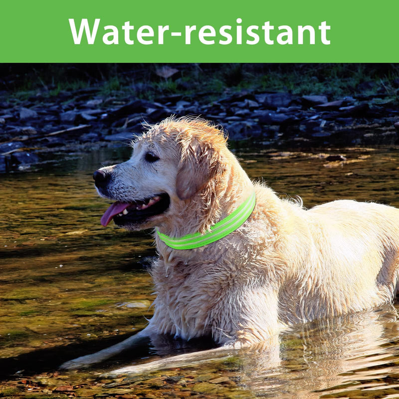 PcEoTllar Luminous Dog Collar Rechargeable, LED Dog Collar Luminous with 3 Light Modes, Luminous Dog Collar Adjustable Waterproof for Small Medium Large Dogs, Green-L L(48-60cm/19-23.6inch) Green(TC5000) - BeesActive Australia